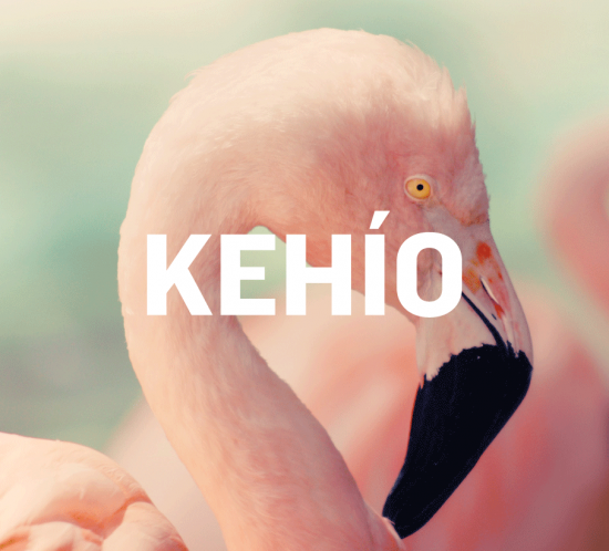 KEHÍO logo