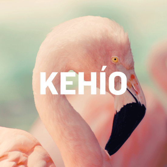 KEHÍO logo